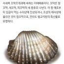 다래간주 이미지