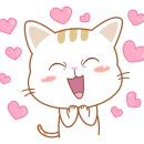 앙꼬찡꼬