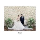 대구 / 웨딩 본식 원판 &amp; 스냅 앨범 &#39;블랑쉬웍스 (beworks)&#39; 내돈내산 후기