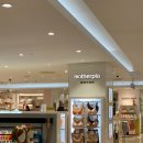 롯데백화점부산본점 마더피아 이미지