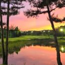 여주-0111 이미지