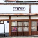 선화핸즈 이미지