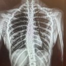 다산튼튼의원 이미지