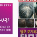 사랑머리방 - 춘천시 | 사랑머리방