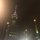 벌교숲공원옆게이트볼경기장 | 뉴질랜드(남섬/북섬)_여행후기 (2)북섬편.