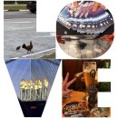 한마제5체육관 | 2026 1월 싱가포르 여행👰 동네 산책 / 라이즈 싱가포르 콘서트 / 유나이티드 스퀘어 몰 Brauhaus Pub