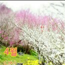 일번가 이미지