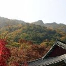 사진전경