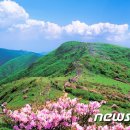 소백산 이미지