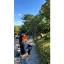 [서울 호캉스] 반얀트리 클럽 앤 스파 풀 디럭 남산뷰 2박3일 후기 | 룸서비스·조식·데이트코스 총정리