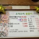 오리오리꿀꿀이 이미지