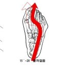 바를정핏PT 이미지