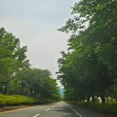 합천도서관 | 대구 근교 라이딩·드라이브 명소, 경남 합천 카페 모토라드 합천 방문 후기