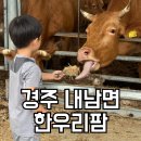 산양식육점 | 대구 근교 경주 실내 아이와 가볼만한곳 한우리팜 피자 만들기 동물 농장 체험 후기