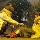 식물도감 이미지