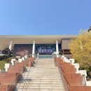 수원시민회관 | 경기도 수원 벚꽃 명소 화성 행궁 팔달공원 실시간 4월 꽃구경 주차장