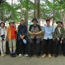 산책길-1 이미지