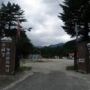 규형목장 네이버블로그