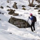 내와분교 이미지