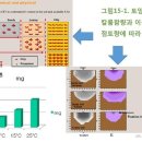 세기비료 이미지
