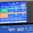 호인여행사