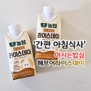 간편 아침식사 대용 쌀음료 해브어라이스데이 후기