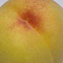 복사골농장 이미지