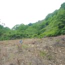 진안읍 1358 이미지