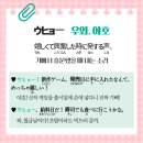 우사기짱