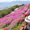 만개 이미지