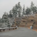 무주읍205 | 전자휴 향로산 자연휴양림