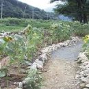 토종성황림마을 이미지