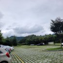 보양산염소전문점