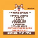 486펫콜 경남 김해점 이미지