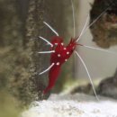 신반포로45길 59 이미지