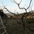 갑을농장 이미지