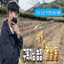 나무컨설팅 이미지