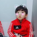 새빛유치원 이미지