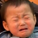 월텍 | 오성 월텍 HB-208 제빵기 구입후기