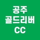 골드리버cc | 공주 골드리버CC 정보 총정리 ⛳️
