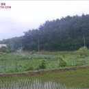 손양면사무소 이미지