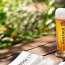 고향음식 이미지