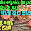 대단한 이 약초(지금)―암,정력감퇴,발기부전,당뇨,동맥경화,뇌졸중,중풍 등 혈관질환,만성신부전증,면역력 저하,노화,부인과질환,감기,천식 이미지