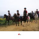 가가홀스 이미지