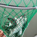 전곡낚시터 이미지