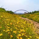 꽃길 - 전주시 완산구 평화3길 3-3 | 꽃길
