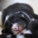 레디에이트(RADIATE) 이미지