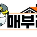 성산 매부리 매일경제