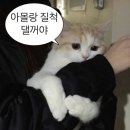 뜻밖의 하루 이미지