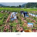 유진팜 이미지